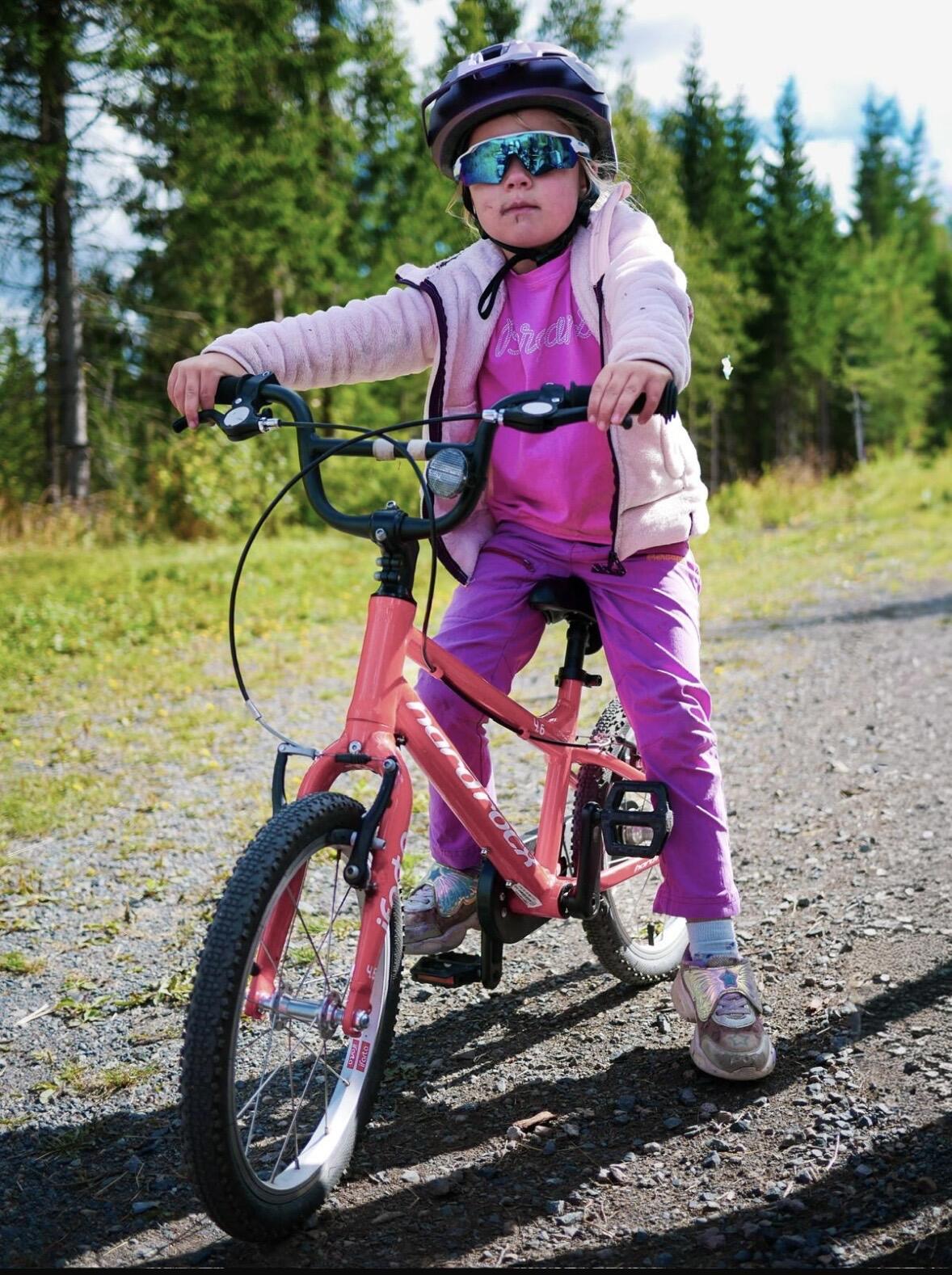 Bilde ingress er for beskrivelse av bildet